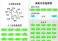 宠物美容洗美流程