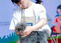 宠物美容主要特征