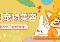 宠物美容品类适配标准