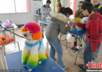 宠物美容萌宠秀场怎么做的