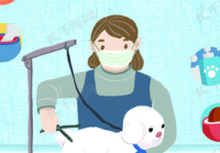 宠物美容的图片大全