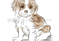 宠物美容画画基本图形图片