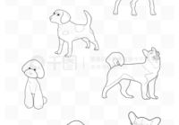 宠物美容造型素描图