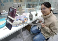 关于宠物美容师评价