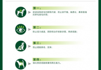 宠物美容用品测评标准表