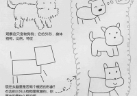 宠物美容画图步骤比例