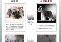 宠物美容用品测评分析怎么写的