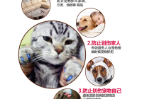 宠物美容类型分类有哪些