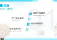 宠物美容项目概述怎么写