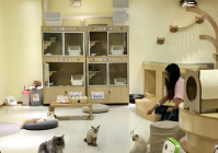 萌宠店是干嘛的