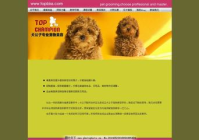 宠物美容网站哪个好