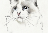 宠物美容萌系画图