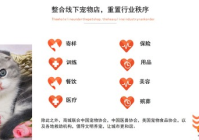 宠物美容项目商业计划书怎么写