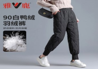 宠物美容师好评怎么写评语