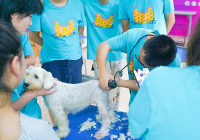 宠物美容洗护赚钱吗