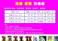 宠物美容包含哪些项目