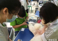 宠物洗澡美容赚钱吗