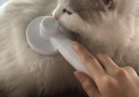 宠物美容用品测评分析怎么写