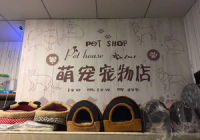 萌宠宠物诊所怎么样