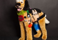 宠物美容造型图片大全美国