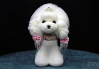 宠物美容造型图