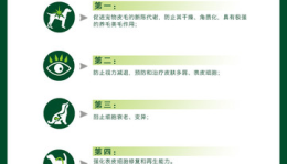 宠物美容用品测评标准