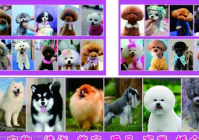 宠物美容类型有哪几种