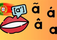 宠物美容软件有哪些