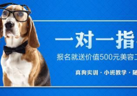 宠物美容等级证怎么报考取消了