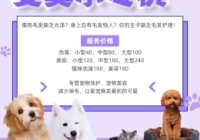 简述宠物美容的基本内容有哪些