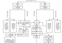 宠物美容操作流程