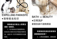 宠物美容的定义是什么