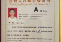 宠物美容资格证