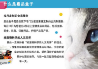 宠物美容用品测评分析与总结怎么写