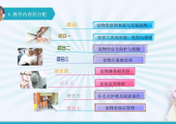 宠物美容工具的识别