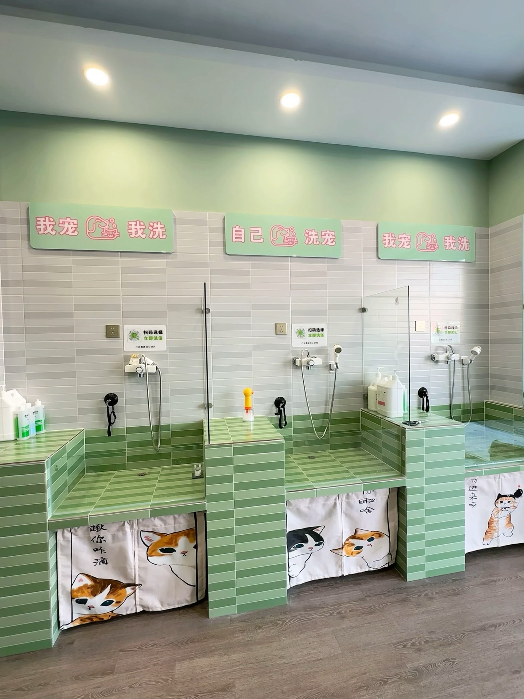 宠物洗护店