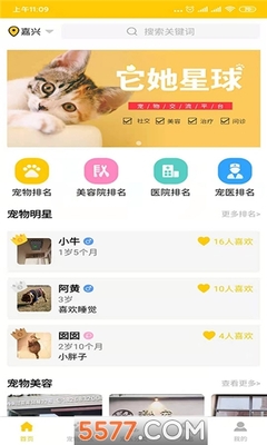 宠物美容app