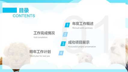 宠物美容项目概述范文