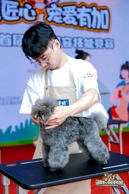 宠物美容主要特征