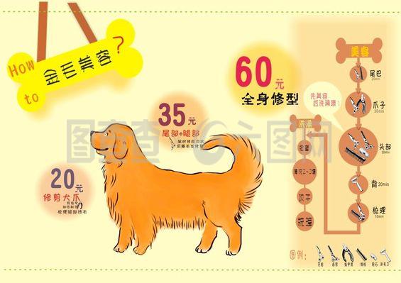 宠物美容作品