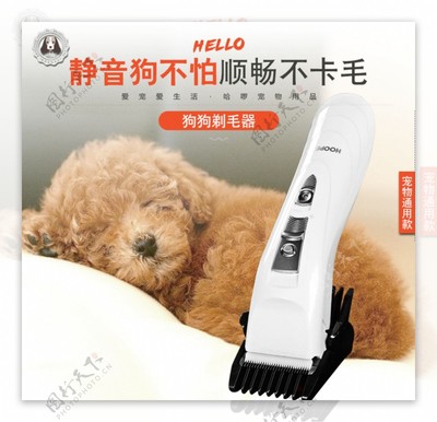 宠物常用的美容工具及设备