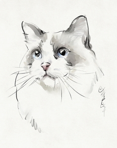 宠物美容萌系画图