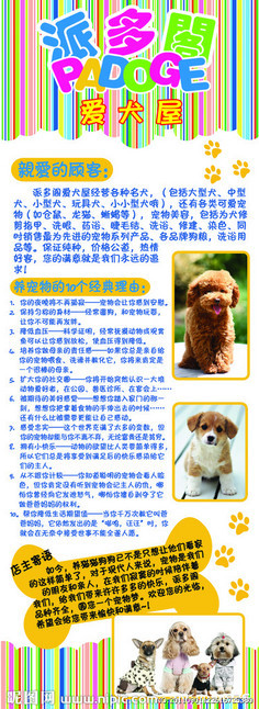 宠物美容包含哪些内容