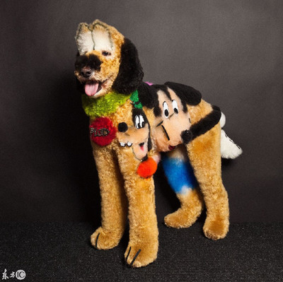 宠物美容造型图片大全美国