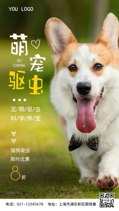 宠物用品评测公众号