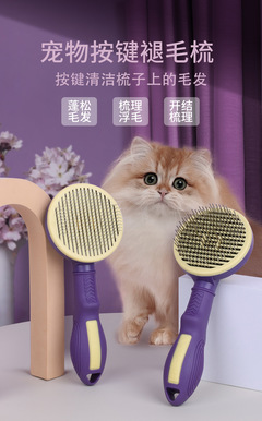 宠物美容行情如何