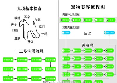 宠物美容步骤