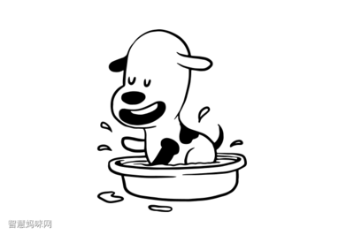 宠物美容简笔画