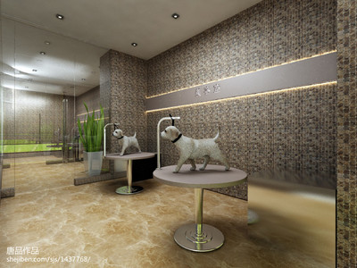 宠物美容效果图大全