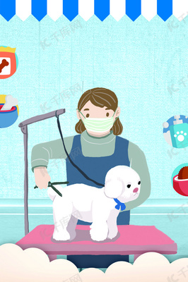 宠物美容的图片大全